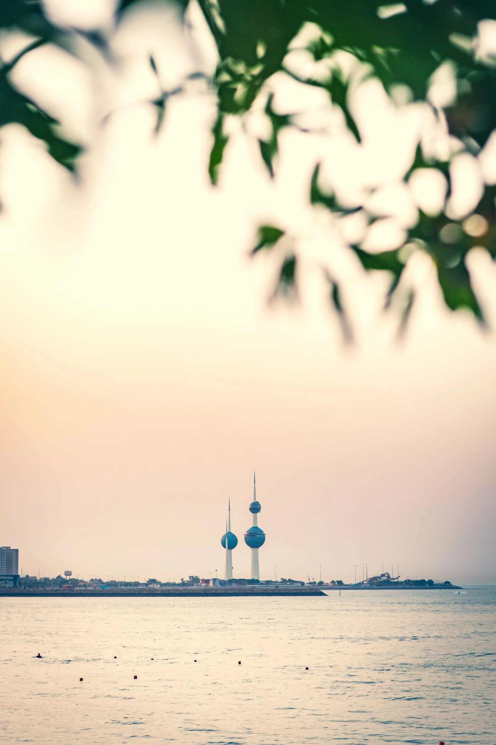 Kuwait Expats: Online Civil Status Updates for Article 7 Residents