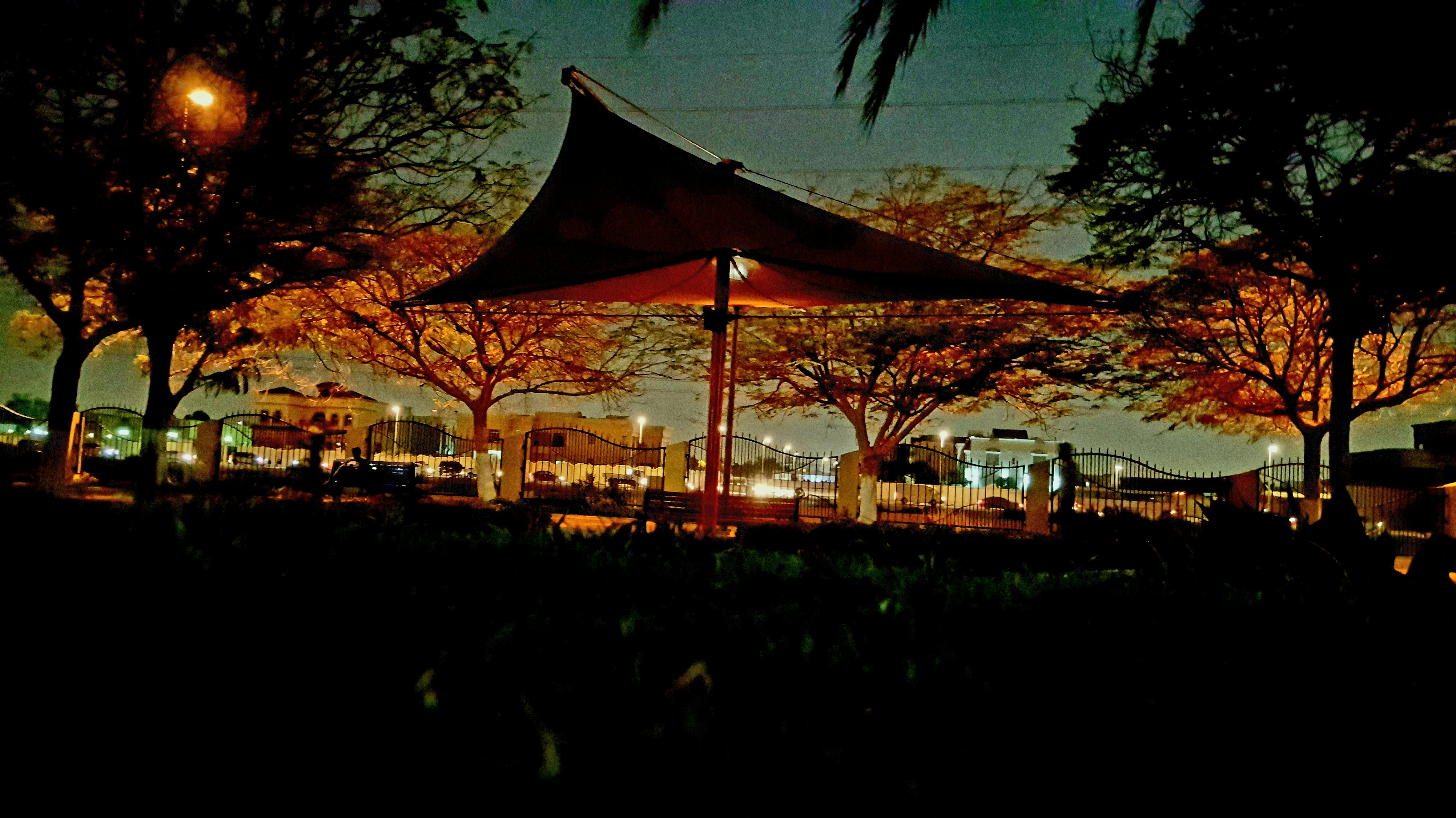 Dubai Opens Amazing First Work from Park Hub at Al Barsha Pond Park!