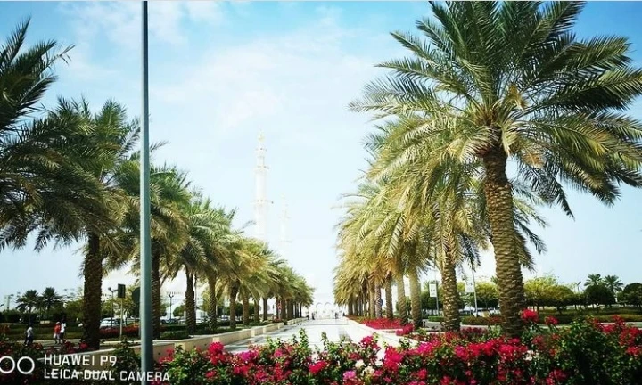 Abu Dhabi Sheikh Zayed Grand Mosque New Entry Fees Explained