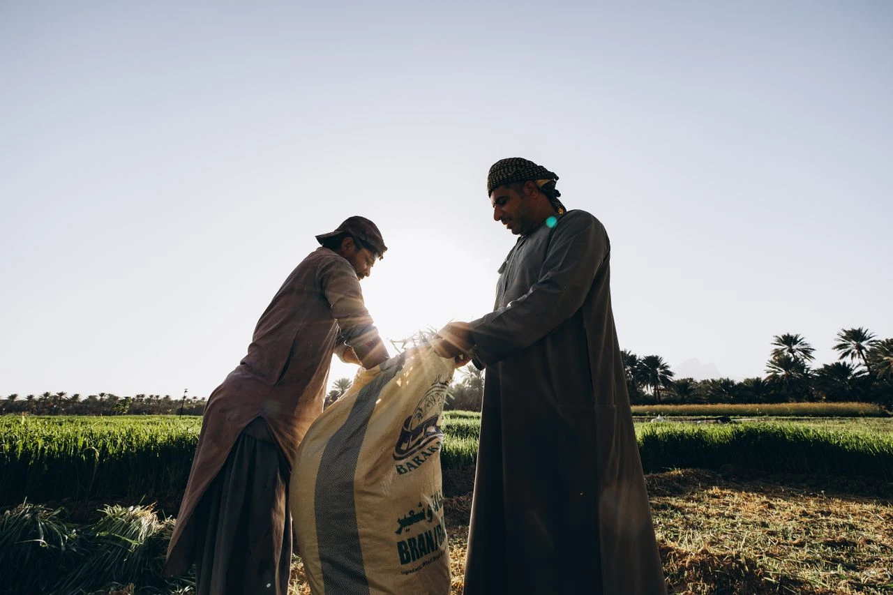 Oman to Hire 10,000 Bangladeshi Workers in Major Visa Thaw